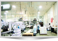 Food grade lighting for food production facilities, seattle washingtone, kent Washington, Monroe washington